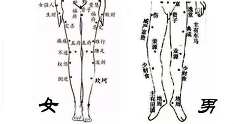 左小腿有痣女|痣相解说：小腿有痣代表什么意思